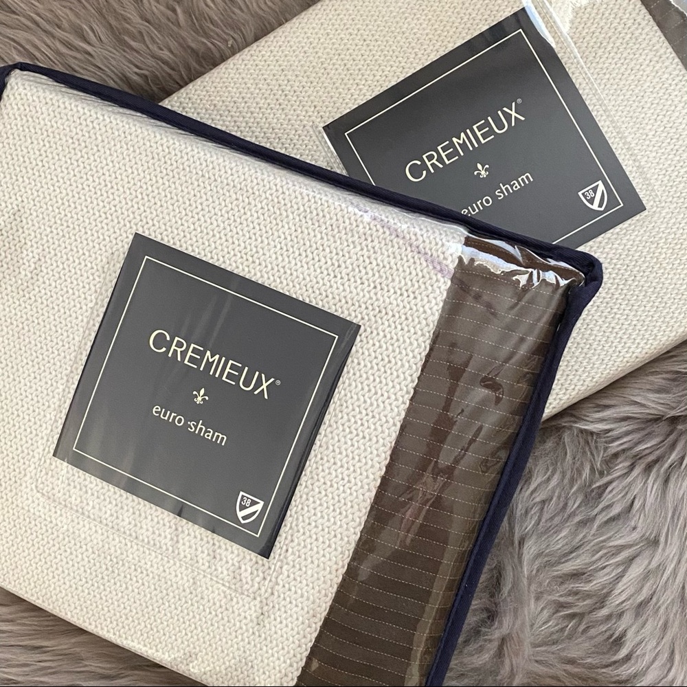 CREMIEUX Dubois Pair of Euro Shams Off-White Brown
